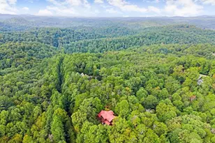 994 Whispering Pne Ln, Cherrylog, GA 30522 - Photo 77