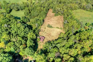 154 Foggy Meadow Dr, Blairsville, GA 30512 - Photo 35