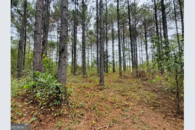 0 Cromer Road, Dewy Rose, GA 30634 - Photo 15