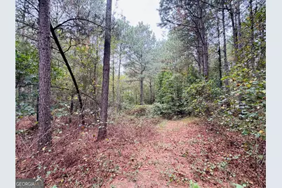 0 Cromer Road, Dewy Rose, GA 30634 - Photo 13