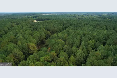 0 Cromer Road, Dewy Rose, GA 30634 - Photo 11