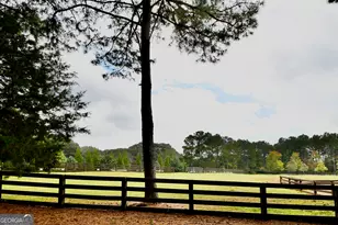 1040 Pimlico Ln, Bishop, GA 30621 - Photo 61