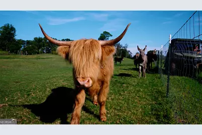 485 Beaver Kreek Road, Douglas, GA 31533 - Photo 33