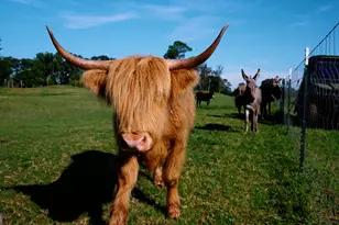 485 Beaver Kreek Rd, Douglas, GA 31533 - Photo 33