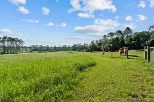 485 Beaver Kreek Rd, Douglas, GA 31533 - Photo 81