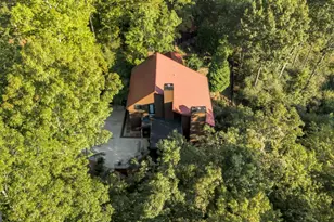 521 Lower Prince Mountain Road, Cherry Log, GA 30522 - Photo 69