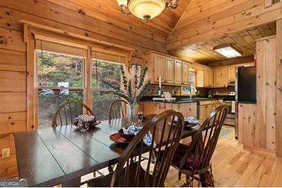 100 Wintermute Drive, Mineral Bluff, GA 30559 - Photo 27