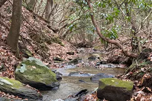 691 Mitchell Br Rd, Morganton, GA 30560 - Photo 71