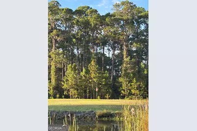729 Highway 441, Fargo, GA 31631 - Photo 21