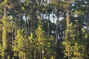 729 Hwy 441, Fargo, GA 31631 - Photo 21