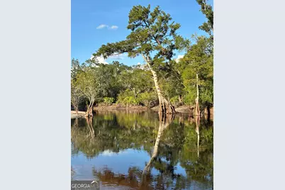 729 Highway 441, Fargo, GA 31631 - Photo 19