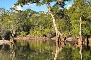 729 Hwy 441, Fargo, GA 31631 - Photo 19