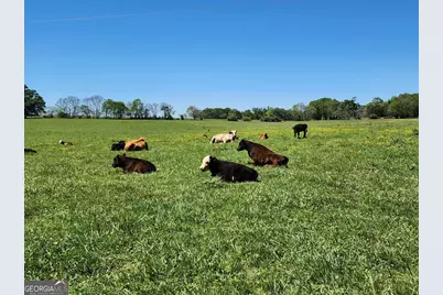 1051 Meadow Lane, Madison, GA 30650 - Photo 65