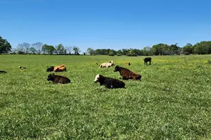 1051 Meadow Ln, Madison, GA 30650 - Photo 65