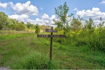 1051 Meadow Lane, Madison, GA 30650 - Photo 81