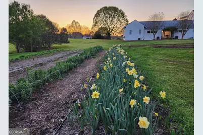 1051 Meadow Lane, Madison, GA 30650 - Photo 91