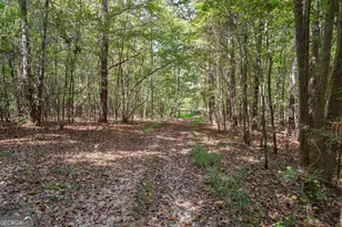 1051 Meadow Ln, Madison, GA 30650 - Photo 75