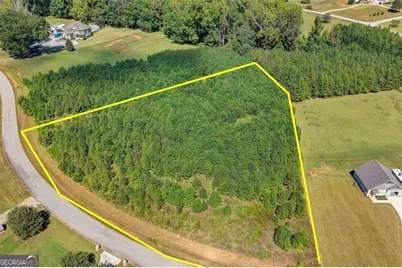 180 River Meadow Lane, Social Circle, GA 30025 - Photo 3