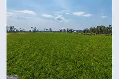 1671 Warren Carter Road, Douglas, GA 31533 - Photo 13