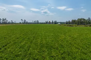 1671 Warren Carter Rd, Douglas, GA 31533 - Photo 13