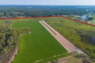 1671 Warren Carter Rd, Douglas, GA 31533 - Photo 19