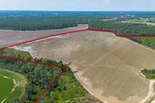 1671 Warren Carter Rd, Douglas, GA 31533 - Photo 21