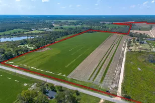 1671 Warren Carter Rd, Douglas, GA 31533 - Photo 29