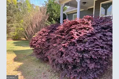 3002 Sarah Lane, Griffin, GA 30224 - Photo 29