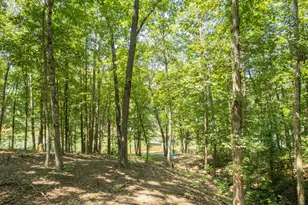 396 Cardinal Ln, Toccoa, GA 30577 - Photo 77