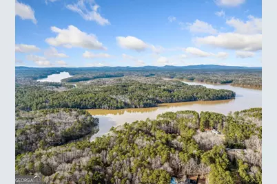 10 Moss Landing Road SE #LOT 8, Acworth, GA 30102 - Photo 5