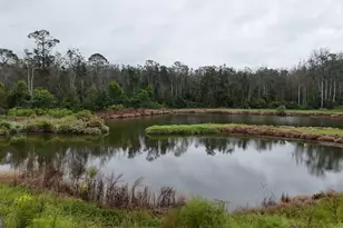 134 Brandy Ct, Sparks, GA 31647 - Photo 9