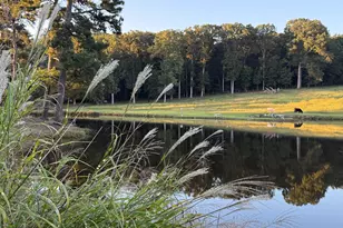 1191 Aderhold Rogers Rd, Commerce, GA 30530 - Photo 3