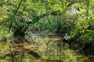 192 Misty Morning Dr, Blairsville, GA 30512 - Photo 49