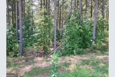 1039 Merganser Coves, Tignall, GA 30668 - Photo 7