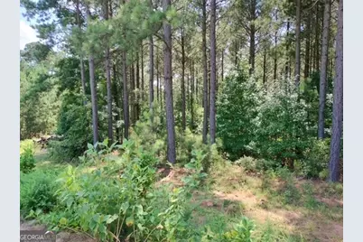 1039 Merganser Coves, Tignall, GA 30668 - Photo 3