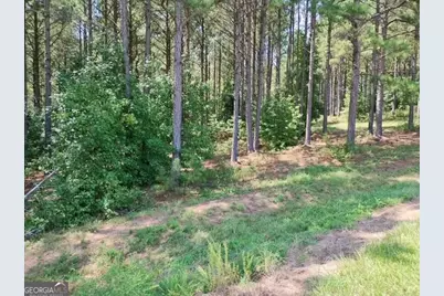 1039 Merganser Coves, Tignall, GA 30668 - Photo 5