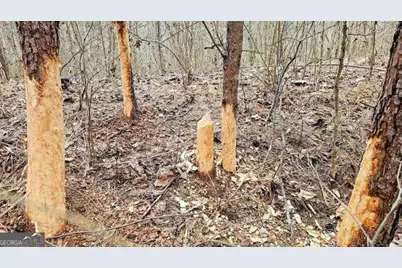 0 Bannockburn Circle #15, Clayton, GA 30525 - Photo 19