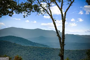 260 Huckleberry Holw, Morganton, GA 30560 - Photo 69