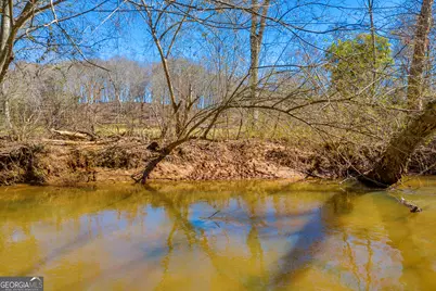 599 Double Branch Road, Danielsville, GA 30633 - Photo 95