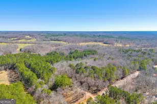 599 Double Branch Rd, Danielsville, GA 30633 - Photo 79