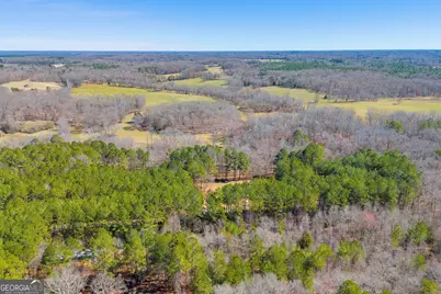 599 Double Branch Road, Danielsville, GA 30633 - Photo 101