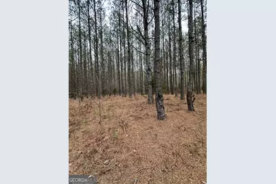 1707 Elberton Road, Lexington, GA 30648 - Photo 5