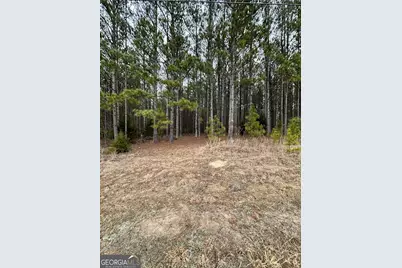 1707 Elberton Road, Lexington, GA 30648 - Photo 3