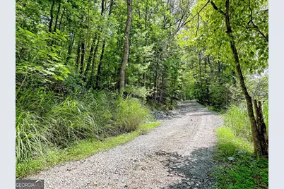 249 Spruce Creek Road, Lakemont, GA 30552 - Photo 5