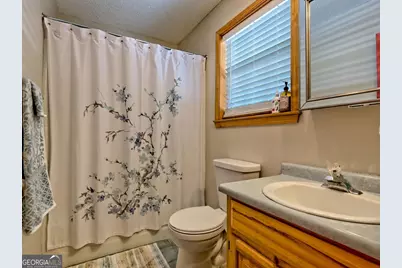 249 Spruce Creek Road, Lakemont, GA 30552 - Photo 23