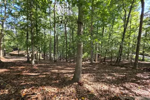 570 Greenleaf Dr, Lavonia, GA 30553 - Photo 5