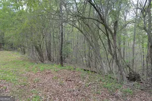 66 Topaz Ln, Royston, GA 30662 - Photo 23