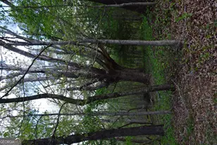 66 Topaz Ln, Royston, GA 30662 - Photo 25