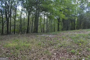 66 Topaz Ln, Royston, GA 30662 - Photo 27