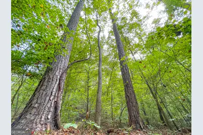 100 +/- Acres On Rambling Road, Fairmount, GA 30139 - Photo 11